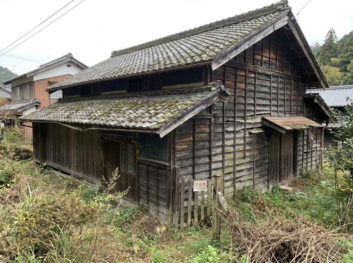 シロアリ駆除